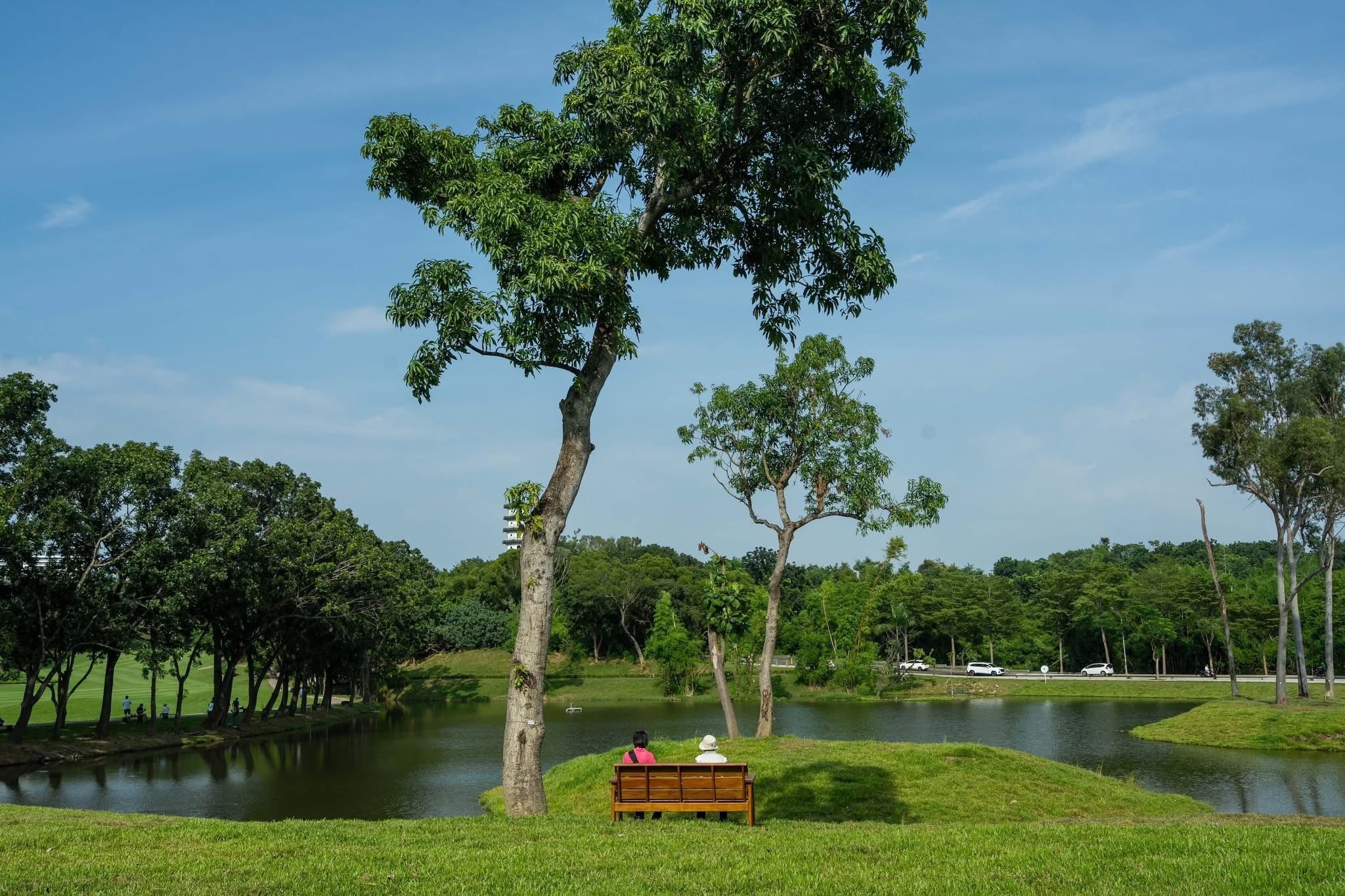 圖片來源：高雄市政府