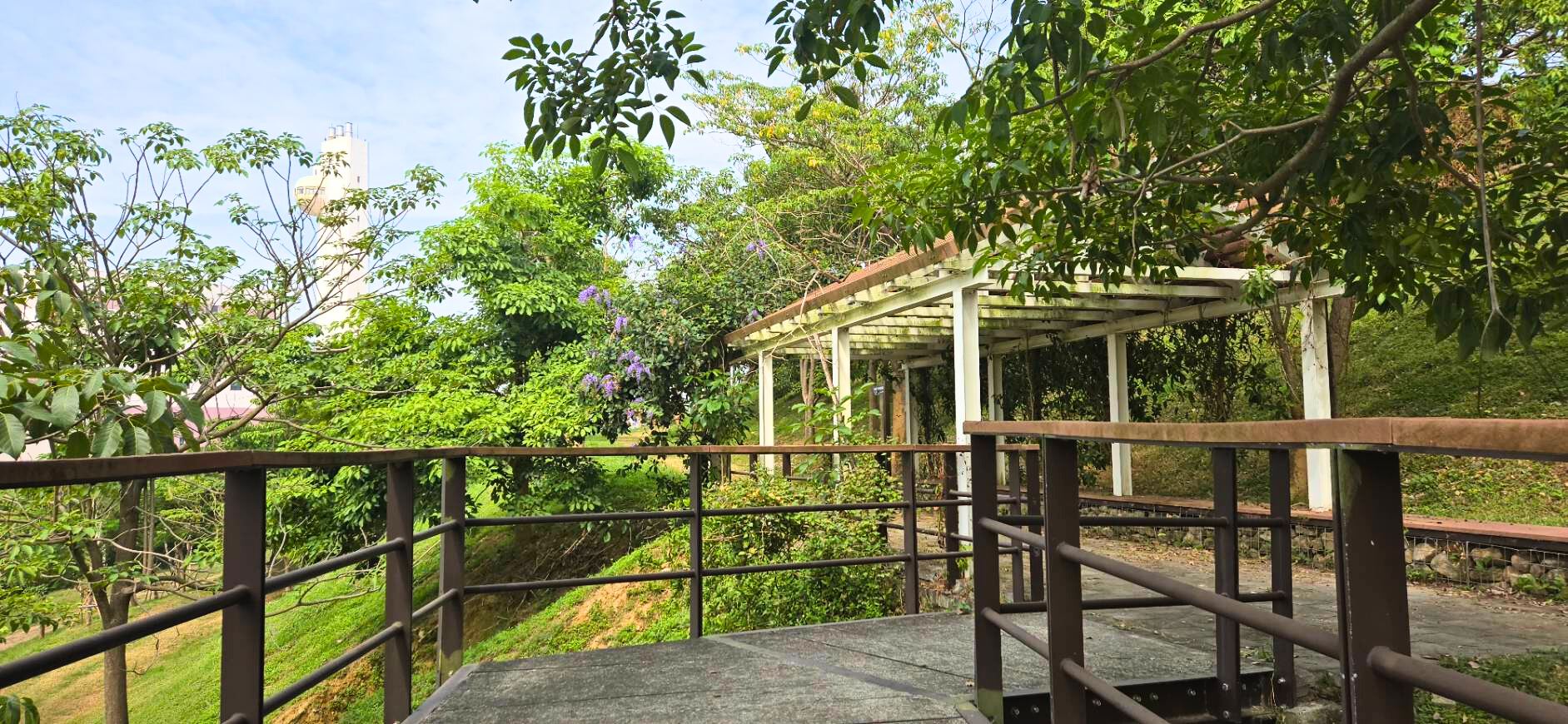 雙園串聯步道啟用 分流停車壓力 打造舒適綠色遊園環境