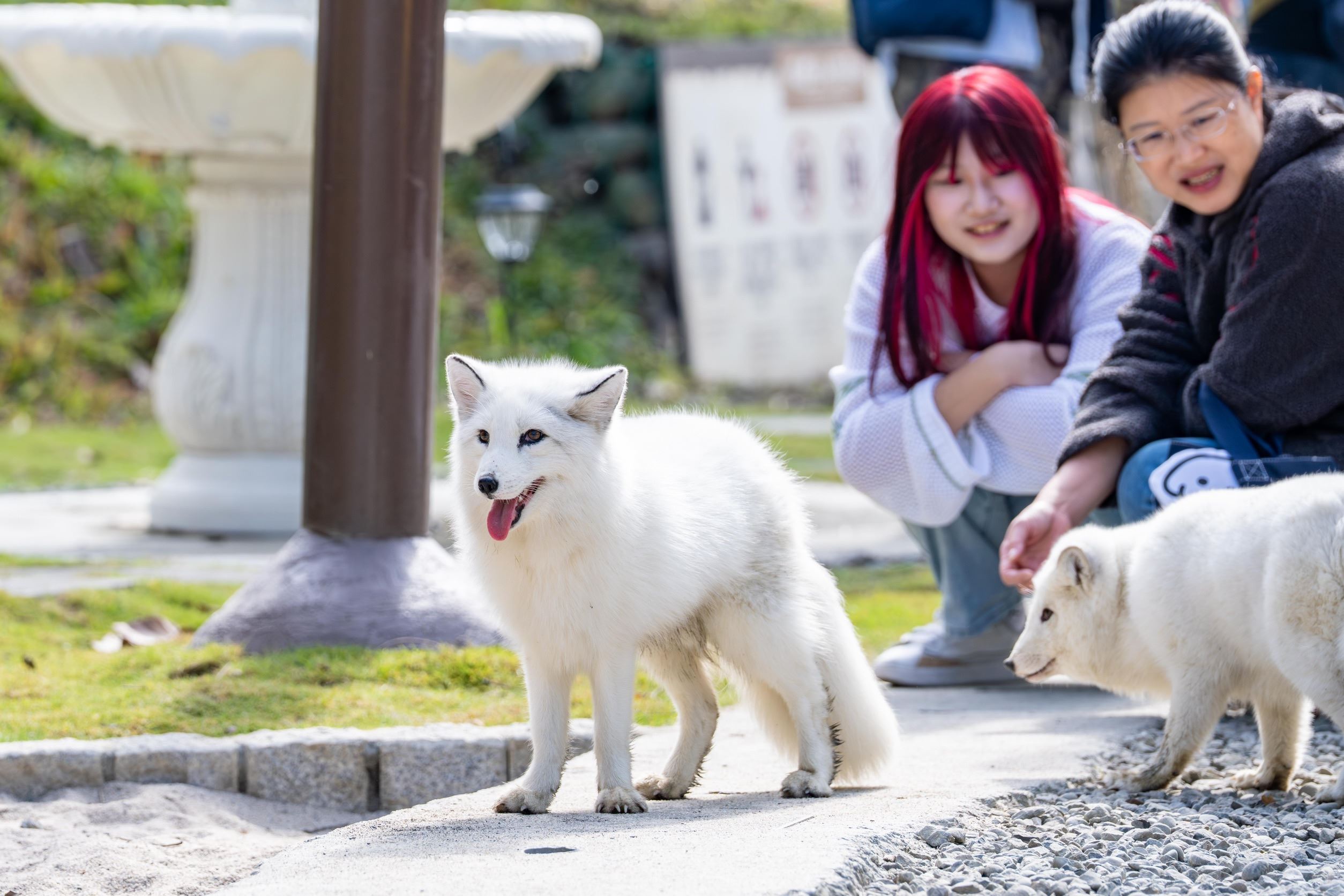 圖片來源：高雄市政府