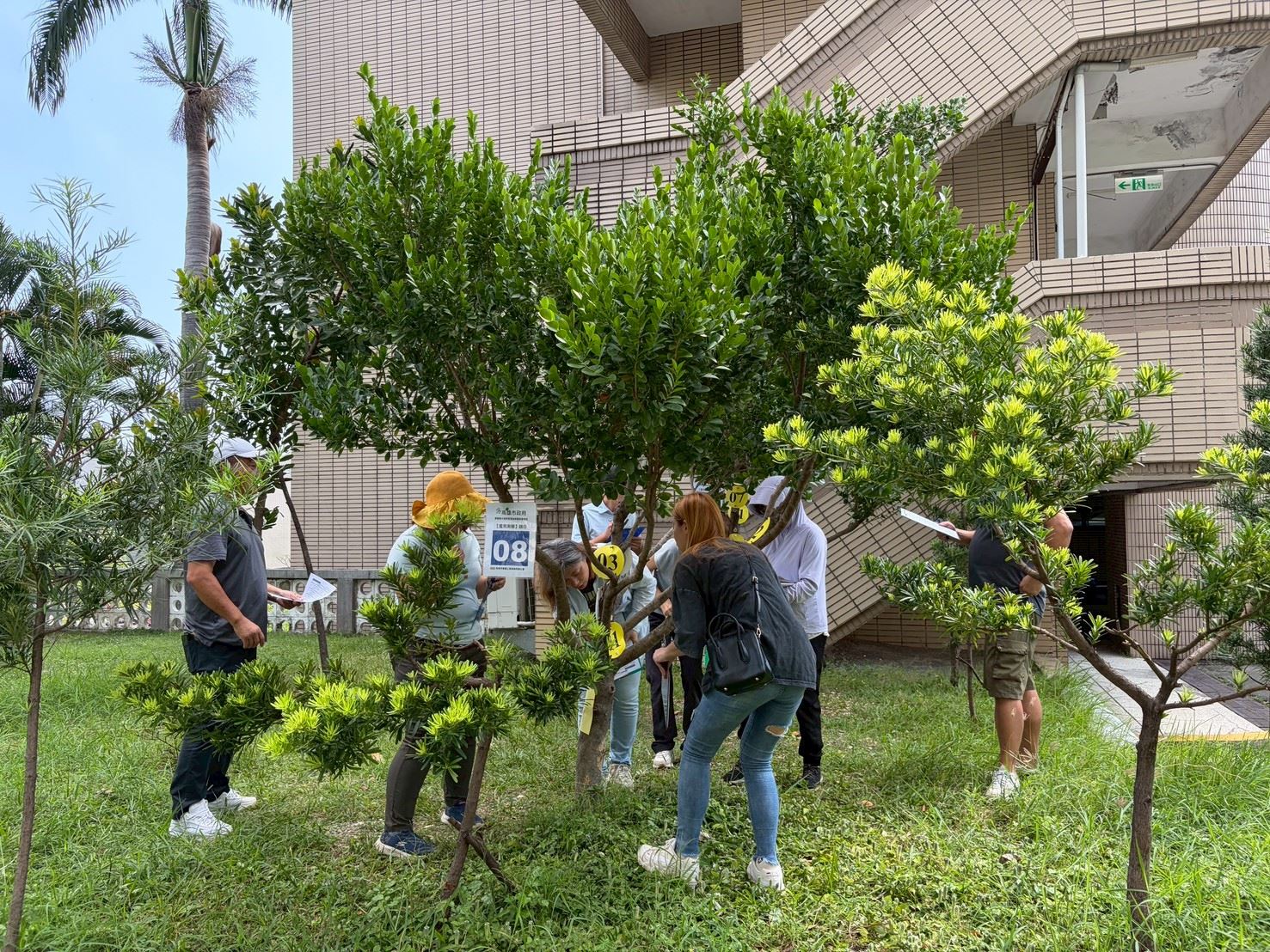 守護城市綠色生命線　樹木修剪監看認證課程開跑！