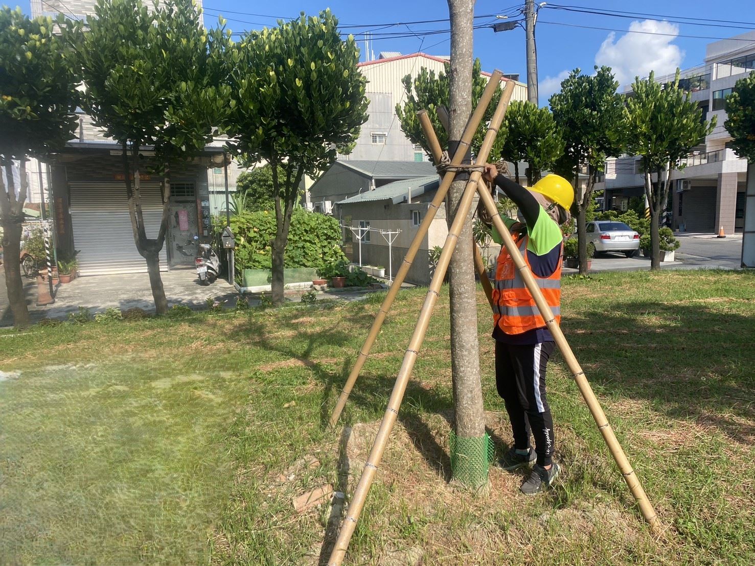颱風來襲！　高市公園處強化護樹防颱準備