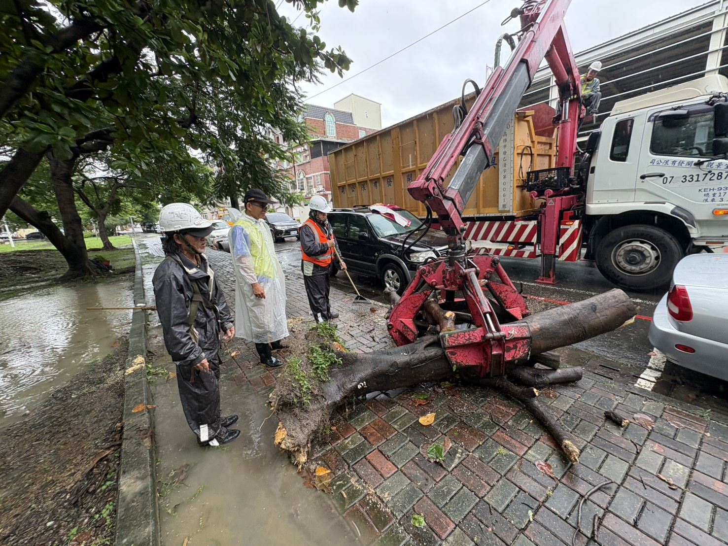 豪雨造成路樹倒塌及斷枝 公園處即時動員全力搶災　加速道路復原